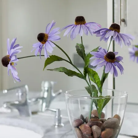Apartment Beautiful With Amazing City View Athens